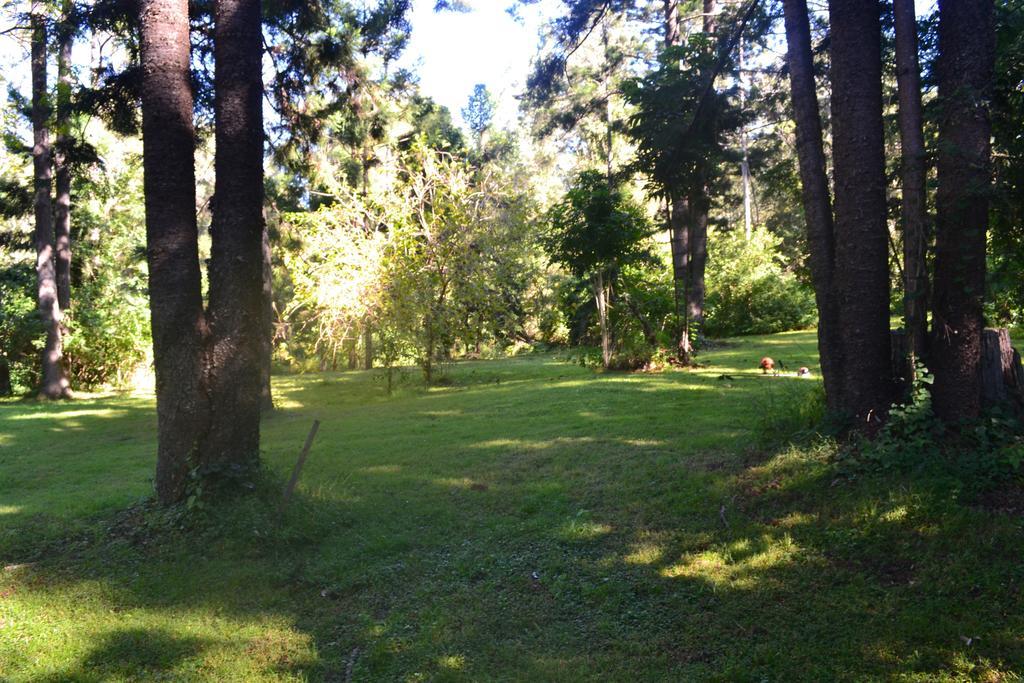 Tuckers Retreat Hotel Canungra Exterior photo